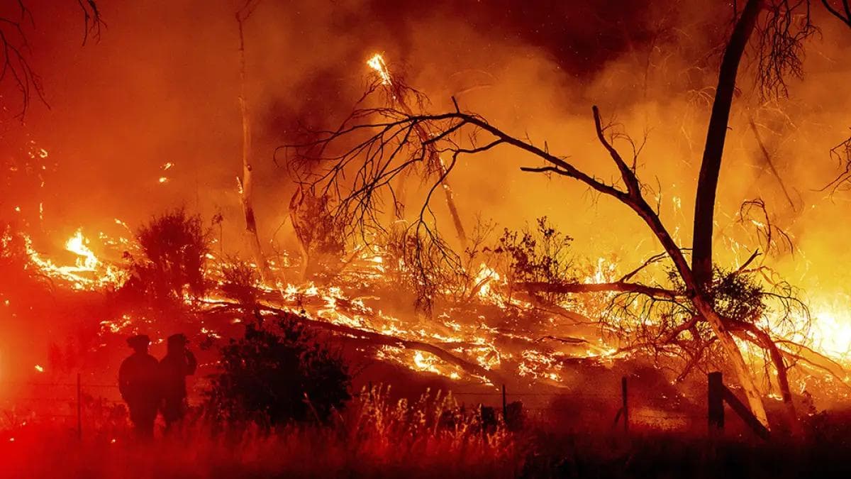 Image related to Wildfire Damage Lawyer