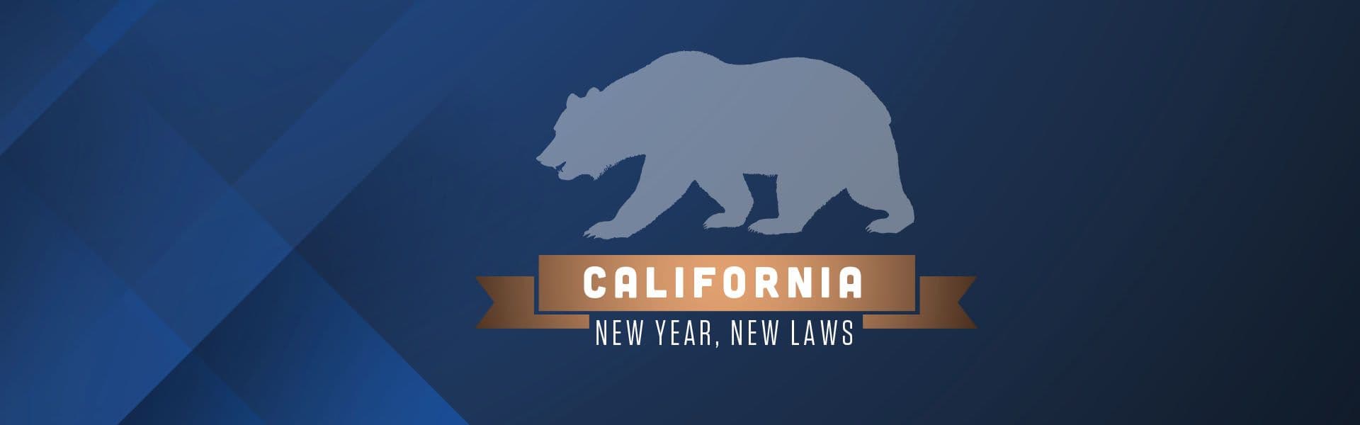 Image related to New Year, New Laws 2025: What You Need to Know